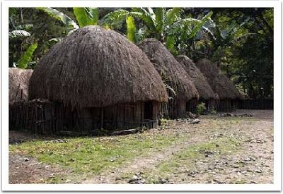 Province Irian Jaya / Papua Traditional House : Rumah Honai Honai Papua, Indonesian House, Architecture Traditional, West Papua, Backyard Buildings, Traditional Market, Traditional Houses, Vernacular Architecture, Traditional Architecture