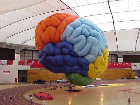 Brain Installation, Brain Atrophy, Brain Storming Design, Speech Bubble Art Installation, Mickey Mouse Runaway Brain, Spanish Armada, Brain Images, Brain Waves, Balloon Sculptures