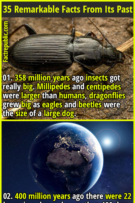 01. 358 million years ago insects got really big. Millipedes and centipedes were larger than humans, dragonflies grew big as eagles and beetles were the size of a large dog. #history #past #earth #science #knowledge #education Amazing Nature Facts, Evolution Of Earth, Nature Facts, Geologic Time Scale, Millipedes, Science Knowledge, Centipedes, History Of Earth, Fact Republic