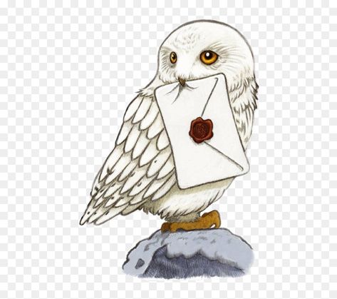 Harry Potter Iphone Icons, Harry Potter Owl Drawing, Fluffy Harry Potter, Wizard Fanart, Harry Potter Drawings Easy, Harry Potter Sketch, Imprimibles Harry Potter, Sticker Drawing, App Ikon