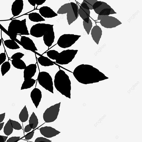 Leaves Shadow, Forest Wedding Decorations, Shadow Png, Shadow Tree, Tree Shadow, Window Shadow, Shadow Images, Water Logo, Leaf Clipart