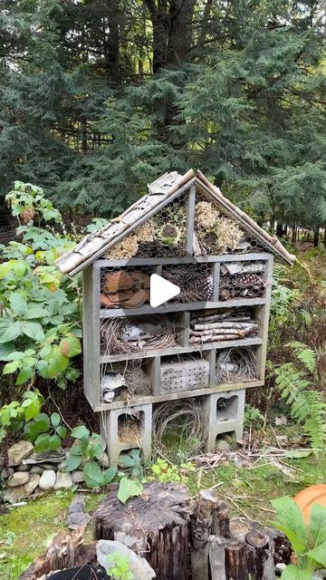 Bugs Hotel Ideas, Bug Hotel Pallet, Homemade Bug Hotel, Bug Hotels Diy, Bug Hotel Ideas, Bug Habitat, Sustainable Education, Bug Hotels, Walk Ideas