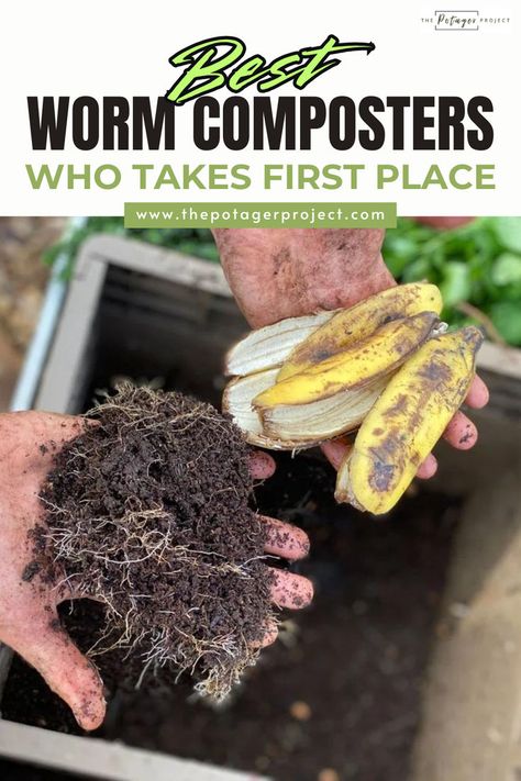 Hands holding freshly composted soil with visible roots in one hand and a bunch of overripe bananas in the other, with a compost bin in the background. Composting Bins, Worm Composting Bin, Composting Bin, Composters, Kitchen Scraps, Worm Composting, Worm Farm, Garden Compost, Garden Help