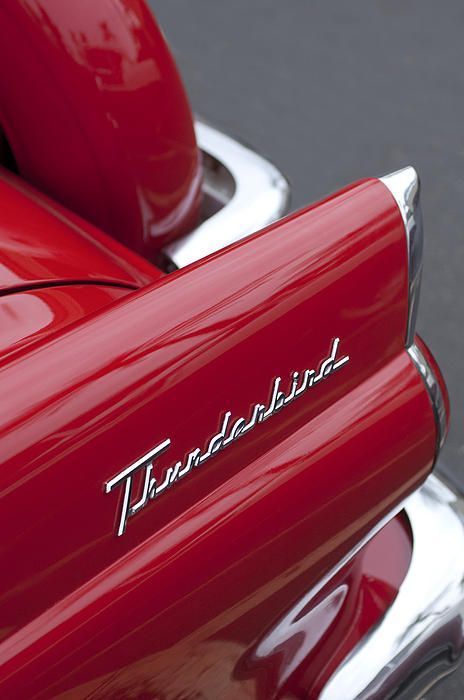 Post anything (from anywhere!), customize everything, and find and follow what you love. Create your own Tumblr blog today. 1956 Ford Thunderbird, Learning To Drive, Ford Classic Cars, Hood Ornaments, Ford Thunderbird, Rat Rods, Cherry Bomb, Red Walls, Red Car