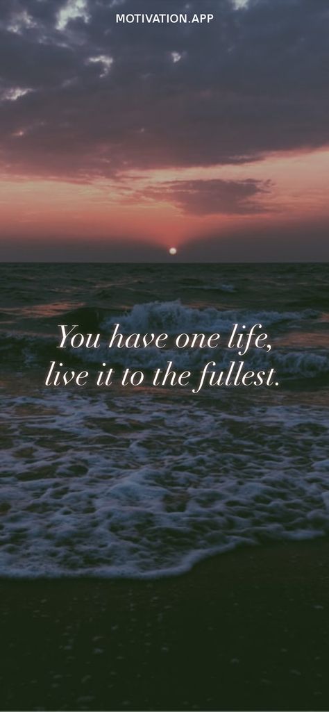 You have one life, live it to the fullest. From the Motivation app: https://motivation.app/download Gratitude Poems, One Life Quotes, Negativity Quotes, Always Quotes, Short Positive Quotes, Need Quotes, Full Quote, Healing Heart Quotes, Motivation App