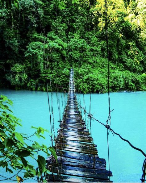 Palm Jumeirah, Suspension Bridge, French Guiana, South America Travel, Nature Gif, Nature Aesthetic, Proud To Be, America Travel, Nature Wallpaper