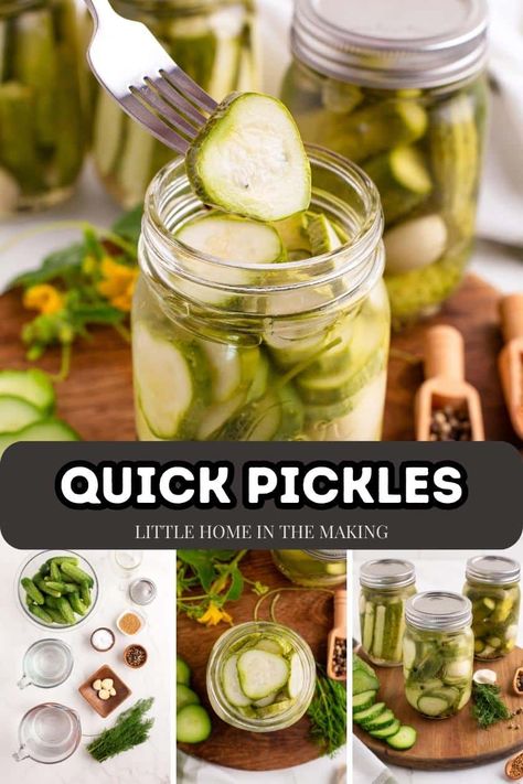 If you're looking for ways of preserving cucumbers, try this easy recipe for Quick Refrigerator Dill Pickles. No canning needed! This small batch recipe has no sugar, no pickling spice, and uses basic ingredients like cucumbers, dill, and garlic. So easy! Crunchy Pickle Recipe, Easy Dill Pickles, Homemade Refrigerator Pickles, Outdoor Therapy, Quick Pickle Recipe, Smoked Chicken Salad, Refrigerator Pickles Dill, Refrigerator Pickle Recipes, Easy Pickling Recipes