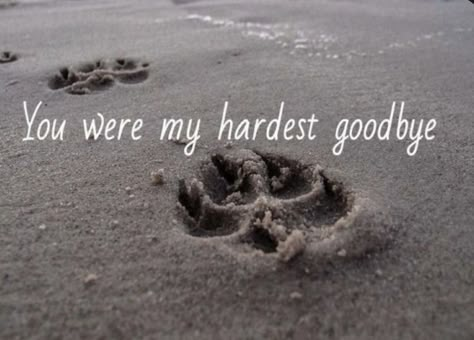 You Were My Hardest Goodbye, Quotes About Loosing Your Dog, Losing A Pet Quotes, Dog Heaven Quotes, Tatoo Dog, Hardest Goodbye, Miss My Dog, Dog Poems, Pet Quotes