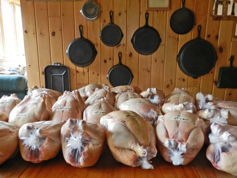 Cornish Rock Chickens, Raising Meat Chickens, Rabbit Meat, Day Checklist, Meat Birds, Broiler Chicken, Blueberry Breakfast Cake, Chicken Tractors, Chicken Feeders