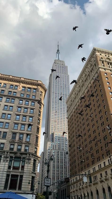 Nyc Buildings Aesthetic, Empire State Building Aesthetic, United States Aesthetic, Nyc City Aesthetic, In The City Aesthetic, New York College, Nyc Wallpaper, Usa Aesthetic, Nyc Buildings