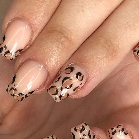 Claire Brown on Instagram: "Nude Leopard print 🐆" Nude Leopard Print Nails, Nude Cheetah Nails, Enid Nails, Cheetah Costume, Cheetah Print Nails, Fall Acrylic, Cheetah Nails, Leopard Print Nails, Print Nails