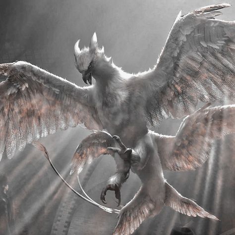 Fantasy Winged Creatures, Made Up Mythical Creatures, Magical Flying Creatures, Griffon Aesthetic, Mythical Creatures Aesthetic, Griffin Flying, Flying Griffin, Griffin Aesthetic, Mystical Creatures Mythology