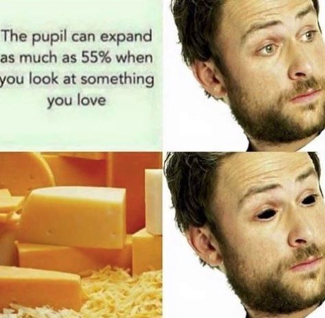 16 Cheese Memes That'll Make You Say 'You Gouda Brie Kidding Me!' - Memebase - Funny Memes Cheese Meme, Cheesy Memes, Sunny Quotes, Food Jokes, Charlie Day, Food Memes, Meme Funny, Best Memes, Meme Pictures