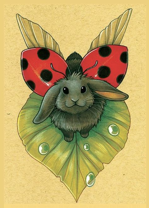 Akvarel Illustration, Micron Pens, Holland Lop, A Ladybug, Mandala Tattoo Design, Creature Drawings, White Gel Pen, Bunny Art, Color Pencils