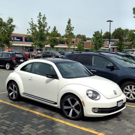 Clean VW Beetle Sportline spotted in North Vancouver. Pink Volkswagen Beetle, Beetle Girl, Vw Buggy, Volkswagen Beetle Convertible, Beetle Convertible, New Beetle, Car Volkswagen, Beetle Bug, North Vancouver