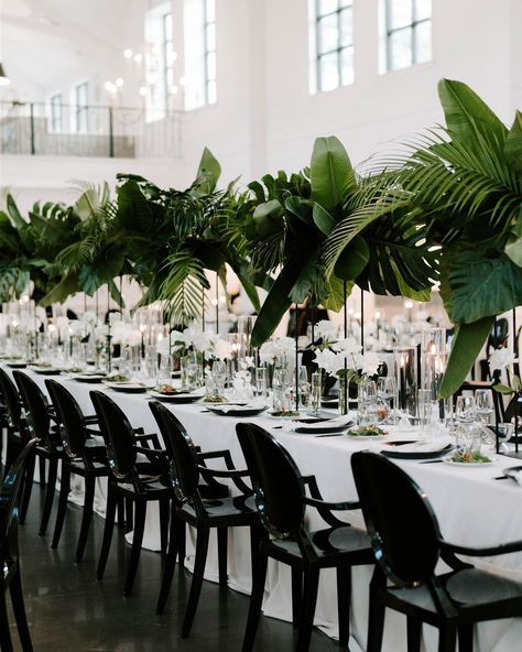 F. Dellit Designs on Instagram: “New year, new post! Hands down a favorite wedding from 2022. Photography @emilyfigurelliphotography Planning/design: @sbmoore.co Venue…” Boxwood Manor, Jungle Wedding, Tropical Wedding Theme, Tropical Wedding Decor, Black And White Wedding Theme, Palm Wedding, White Wedding Theme, Emerald Wedding, Dinner Decoration