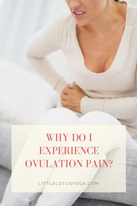 After talking it over with your friends, you are convinced that you are the only person who has pain during ovulation. Is there something wrong with your body? Are you just extra sensitive to pain? Or is it completely normal? You will be happy to learn that the latter is true. It is completely normal. It is just not something every woman experiences. Ovary Pain, Ovulation Pain, Yoga Posses, Oxalate Diet, Ovulation Cycle, Yoga Articles, Low Oxalate, Cervical Mucus, Female Health