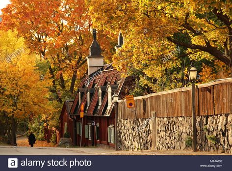 Download this stock image: Old red cottages on Södermalm in central Stockholm in autumn colours. - M4JAXK from Alamy's library of millions of high resolution stock photos, illustrations and vectors. Swedish Village, Autumn Tale, Travel Sweden, Best Places In The World, Red Cottage, Grand Central Station, Trip Planner, Autumn Colours, Places In The World