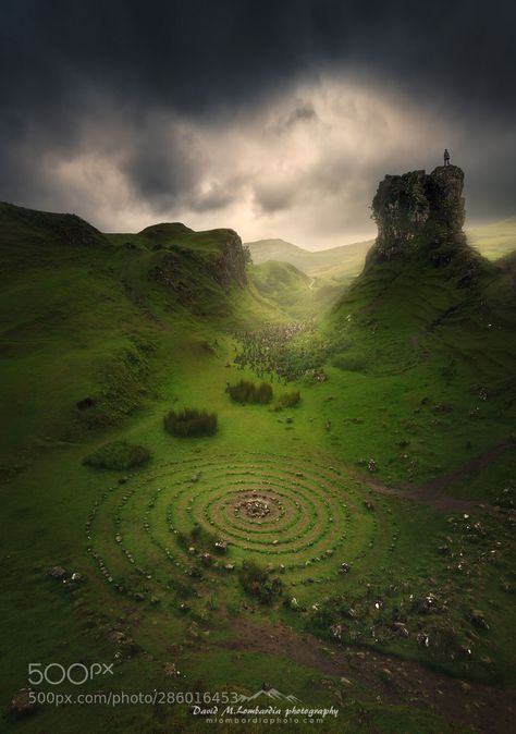 Aberdeenshire Scotland, Tree Mushrooms, Celtic Legends, Scotland Landscape, Scotland Forever, Scottish Landscape, Landscaping Company, Scottish Highlands, Nature Travel