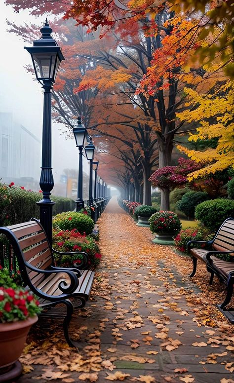 Happy Thanksgiving Wallpaper, Park Benches, Background Designs, Visual Board, Autumn Scenes, Art Gallery Wallpaper, Autumn Scenery, Beautiful Landscape Wallpaper, Autumn Beauty