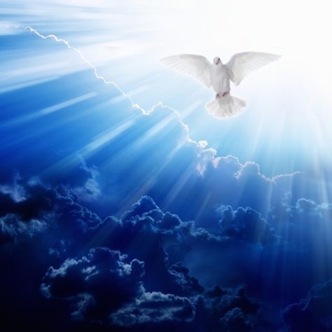 White Dove, The Holy Spirit, Holy Spirit, White