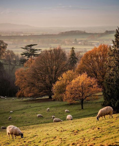 English countrysides (@englishcountrysides) • Instagram photos and videos English Countryside Aesthetic, Welsh Countryside, England Aesthetic, England Countryside, Countryside Landscape, Scenery Pictures, Landscape Photography Nature, Country Scenes, English Countryside