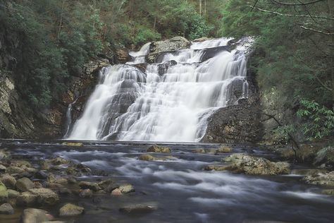 Laurel Falls - Johnson City Convention & Visitors Bureau Laurel Falls, Johnson City Tn, Johnson City, Appalachian Trail, Beautiful Waterfalls, National Forest, Breathtaking Views, Day Trip, Rocky