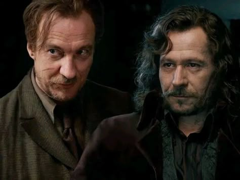 Sirius Black X Remus Lupin, Sirius And Remus, Remus Lupin Sirius Black, Harry Potter Sirius, Sirius Remus, David Thewlis, Harry Otter, Remus And Sirius, Harry Potter Scene