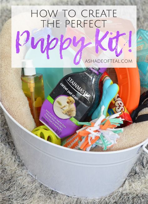 Create the Perfect Puppy Kit! Everything a new dog owner will love including @STAINMASTER®™ Carpet Pet Stain Remover from @Target. #ProtectFromPetMess #SeasonalSolutions #ad Puppy Kit From Breeder, Puppy Pack Ideas, Breeder Puppy Packs For New Owners, New Puppy Gift Basket Ideas, New Puppy Gift Baskets, Gifting A Puppy Ideas, New Dog Gift Basket, Puppy Welcome Home Basket, Puppy Bags For New Owners