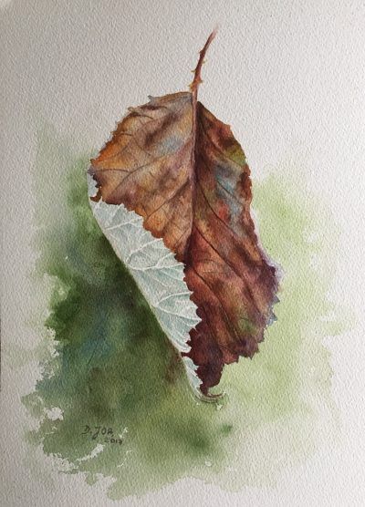 Arches Watercolor Paper, Leaf Painting, Small Study, Watercolor Projects, Arches Paper, Watercolor Painting Techniques, Watercolor Flower Art, Watercolor Landscape Paintings, Watercolor Art Lessons