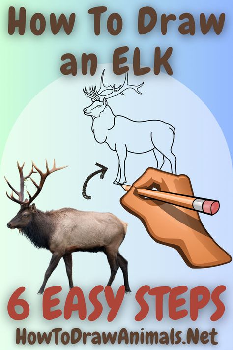 six step drawing lesson for an easy elk drawing Elk Illustration, Elk Drawing, Art Of Drawing, Art Guide, Easy Drawing Tutorial, Your Drawing, Drawing Tutorial Easy, Aspiring Artist, Easy Drawing