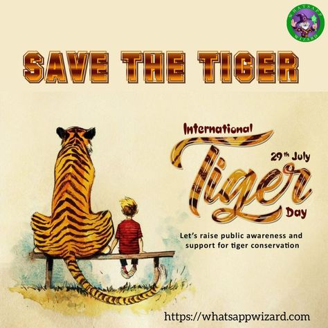 Save The Tiger Before They Are Silenced Forever #Tiger #InternationalTigerday #internationaltigerday🐯 #savethetiger #savetigers #savetiger #tigerreserve International Tiger Day, Tiger Day, Tiger Conservation, Save The Tiger, 2nd Grade Worksheets, Beautiful Art Paintings, Lord Krishna Wallpapers, Wedding Couple Poses, Krishna Wallpaper