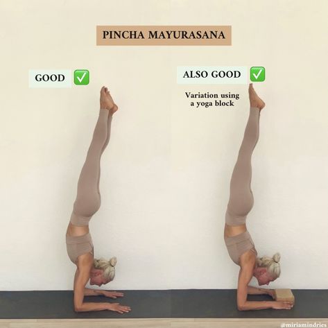 Pincha mayurasana is a dynamic inversion which requires strength, patience & focus. Use a block in between the hands to start with. #pinchamayurasana #yogaposes #yogainspiration #yogateacher #yogalife #yogatutorials Mayurasana Pose, Pincha Pose, Pincha Mayurasana, Yoga Guide, Arm Balances, Yoga Block, Yoga Sequences, Yoga Life, Yoga Teacher