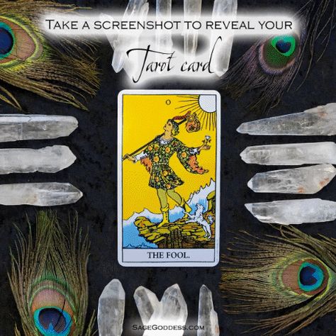 What Is Tarot, Reading Gif, Zen Place, The Tarot Cards, Deeper Meaning, Take A Screenshot, Minor Arcana, Reading Tarot Cards, Halloween Sale