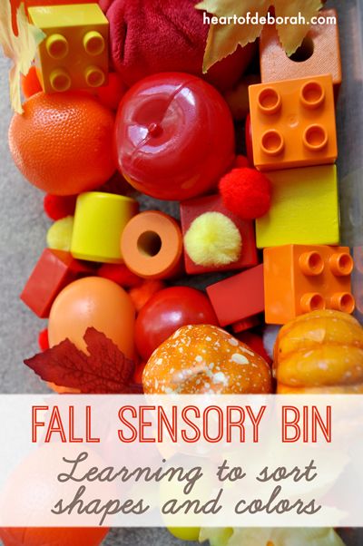 Sensory Bin Ideas, Fall Sensory Bin, Fall Activities For Toddlers, Fall Sensory, Fall Lesson Plans, Fall Lessons, Toddler Classroom, Toddler Sensory, Sensory Boxes