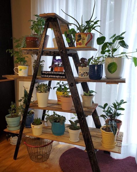 Ladder For Plants Indoor, Wood Ladder Plant Stand, Old Ladder Plant Stand, Old Ladder Shelf, Diy Ladder Plant Stand, Old Ladder Ideas, Diy Wooden Ladder, Decorative Concrete Blocks, Ladder Plant Stand