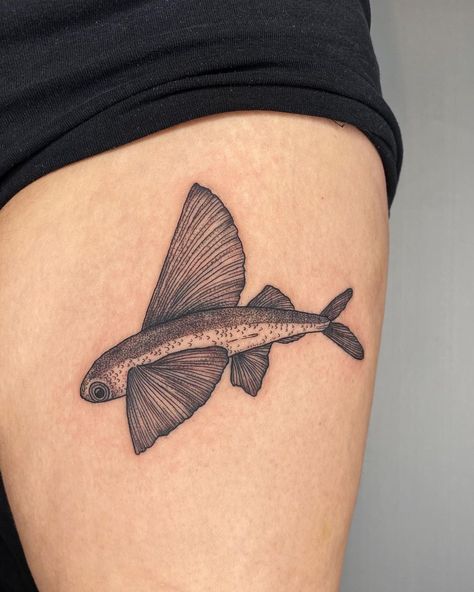 Mary Black on Instagram: “Flying 🐟” Shark Tattoos, Flying Fish, Fish Tattoo, Fish Art, Black Tattoos, Maple Leaf Tattoo, Jesus Fish Tattoo, Tatting, Art Tattoo