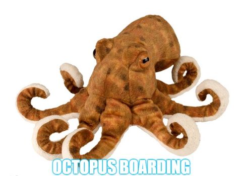 Octopus Stuffed Animal, Realistic Stuffed Animals, Whale Plush, Octopus Plush, Soft Toy Animals, Cuddly Toy, Cute Stuffed Animals, Marine Animals, Plush Animals