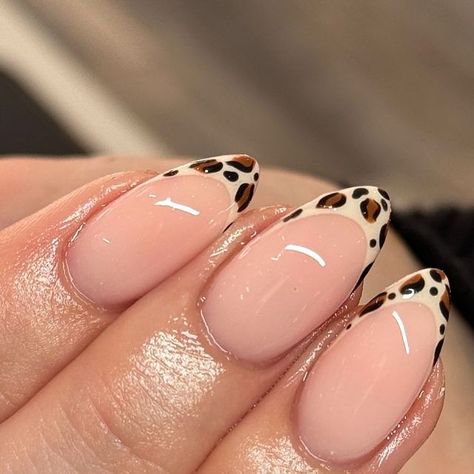 Lepord Print Nails Design, Nails 23, Leopard Nail Designs, Biab Nails, Minimalist Nail, Cute Halloween Nails, Leopard Print Nails, Leopard Nails, Cute Gel Nails