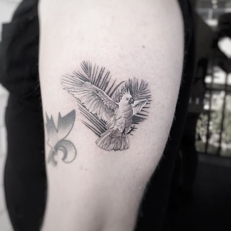 Cockatoo Tattoo, Moluccan Cockatoo, Micro Realism, Fun Tattoo, Parrot Bird, Realism Tattoo, Maple Leaf Tattoo, Realism, Parrot