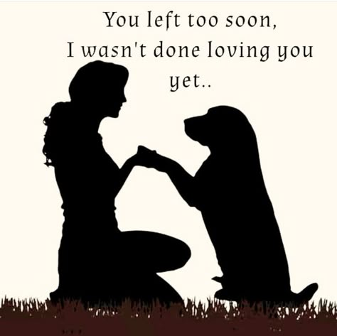 My Dog Just Died, Dog Passing Quotes, Rip Dog Quotes, Soul Dog Quotes, Dog Loss, Losing A Dog Quotes, Losing A Pet Quotes, Miss My Dog, Dog Poems