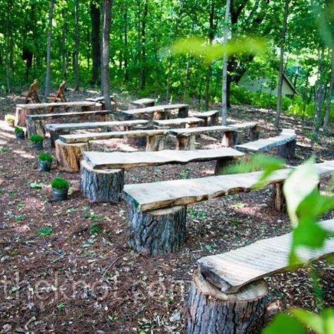 Forest wedding benches! You know, if I can find a forest to have my wedding in. Wedding Bench, Wooden Benches, Rustic Wooden Bench, Deco Champetre, Tree Stumps, Enchanted Forest Wedding, Ceremony Seating, Camping Area, Tree Stump