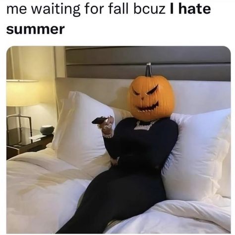 Hate Summer, Paranormal Stories, Halloween Memes, Raining Outside, Halloween Everyday, Halloween Movies, Some Funny Jokes, Fall Favorites, Coven