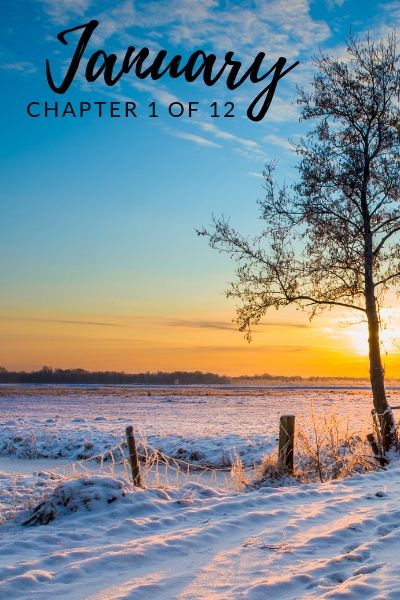 january, chapter one of twelve, RJ Scott MM Romance Author January Chapter 1 Of 12, Chapter 1 Of 12, Writing Romance, Mm Romance, Romance Stories, Background Ideas, Gay Romance, Winter Vibes, Romance Authors