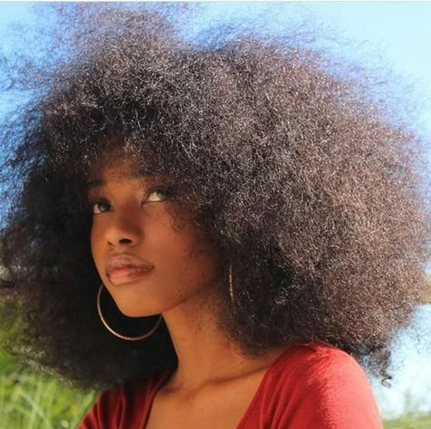 Poofy Hair, Big Afro, Straight Weave, Hair Care Growth, Hair Flow, Afro Textured Hair, Pelo Afro, Hair Follicles, Big Hoop Earrings