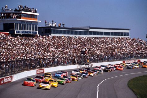 NASCAR will return to North Wilkesboro Speedway for its annual All-Star Race. A move that has met with universal fanfare. Now, one of NASCAR’s Hall of Fame drivers is suggesting the sport return to another track that hasn’t seen a NASCAR race since 2004. Darlington Raceway, Terry Labonte, Bristol Motor Speedway, Motor Speedway, Dale Earnhardt Jr, Dale Earnhardt, Nascar Racing, Hall Of Fame, Car Show