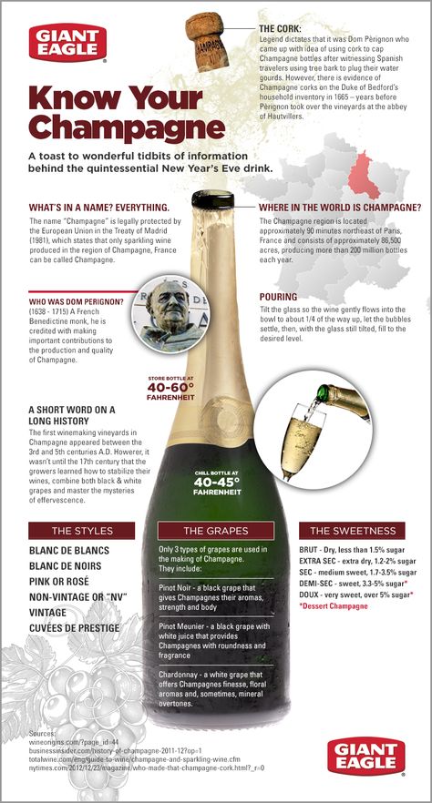 Know Your Champagne - A toast to wonderful tidbits of information behind the quintessential New Year's Eve drink. New Years Eve Drinks, Wine Chart, Wine Facts, Party Planning Guide, Cheers To The New Year, Wine Knowledge, Champagne Taste, Wine Education, Wine Pairings