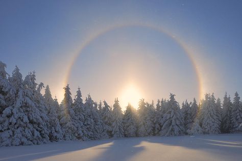 Tranquility Photograph - Halo And Snow Covered Trees, Fichtelberg, Ore Mountains, Saxony, Germany by Martin Ruegner Moon Halo, Ring Around The Moon, Happy Winter Solstice, Sun Dogs, Snow Covered Trees, Image Nature, Happy Winter, Winter Scenery, Natural Phenomena