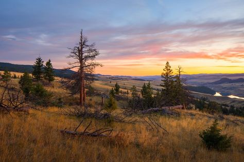 🇨🇦 Sun rises on the grassy fields above the Thompson River Valley (near Kamloops, BC) by Steffen Egly 🌾🌅 Kamloops Bc, Grassy Field, Sun Rises, River Valley, Wild West, British Columbia, Beautiful Photo, Landscape Photography, Columbia