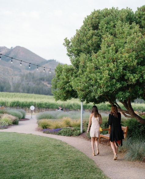 The Night Before ✨⁠ ⁠ We love helping our couples with a thoughtful and entertaining way to bring your friends and family together before the wedding day.⁠ ⁠ Often referred to as welcome receptions or rehearsal dinners, these events are great opportunities to introduce your inner circle and grow the anticipation for your wedding day.⁠ ⁠ Allison and Brett hosted their welcome reception at St. Francis Winery with heavy hors d'oeuvres, delicious wines, lawn games, live cigar rolling and a talent... Lawn Games, Rehearsal Dinners, Our Love, How To Introduce Yourself, Wedding Day, Bring It On, Instagram